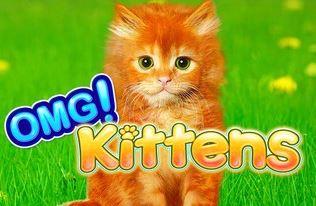 OMG! Kittens slot - En av de sötaste spelautomaterna